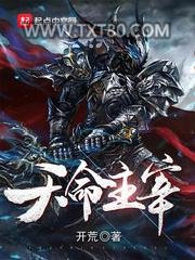天命主宰图片