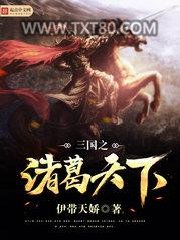 三国之诸葛天下图片