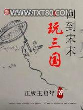 回到宋末玩三国图片