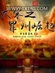 大宋之罪州崛起图片