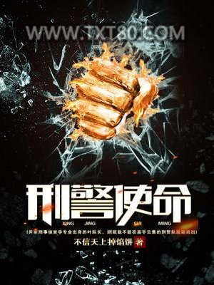 刑警使命图片