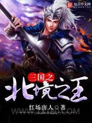 三国之北境之王图片