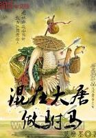 混在大唐做驸马图片