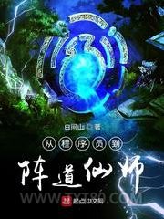 从程序员到阵道仙师图片