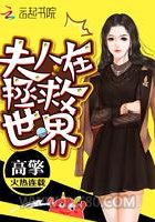 夫人在拯救世界图片