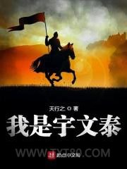 我是宇文泰图片