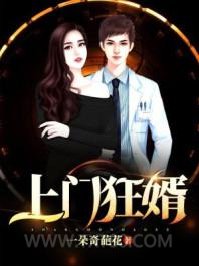 上门狂婿图片