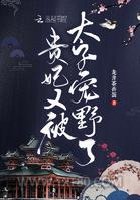 贵妃又被太子宠野了图片