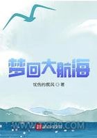 梦回大航海图片