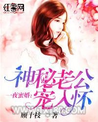 一夜蜜婚：神秘老公宠入怀图片