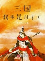 三国我不是NPC图片
