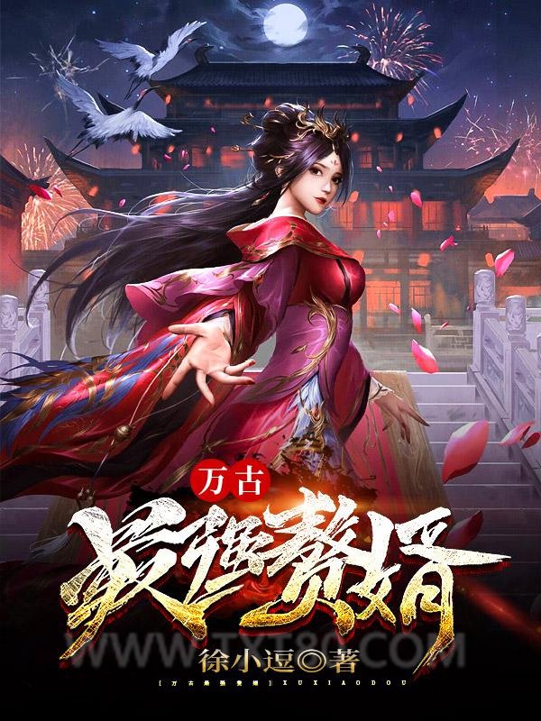 万古最强赘婿图片