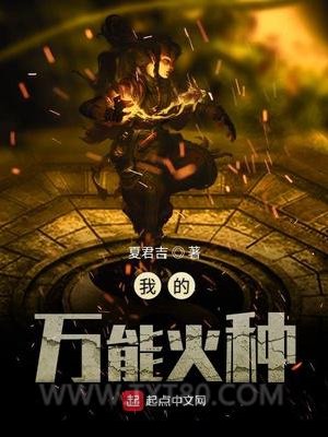 我的万能火种图片