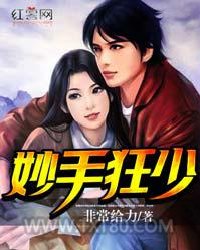 妙手狂少图片