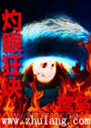灼眼狂诀图片