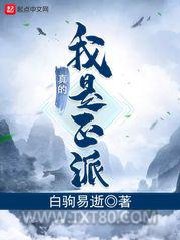 我真的是正派图片