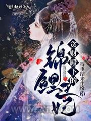 贪财殿下的锦鲤王妃图片