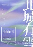 北城有雪图片