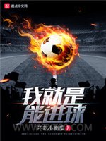 我就是能进球图片