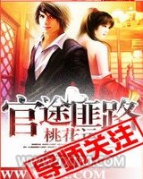 官场布衣(官途匪路桃花运)图片