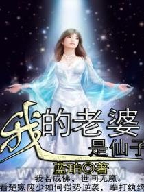 我的老婆是仙子图片