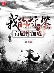 我的标签有属性加成图片