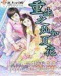 重生之灿如夏花图片