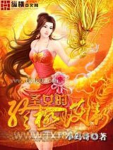 圣女的终极护卫图片