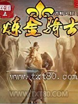 网游之炼金骑士图片