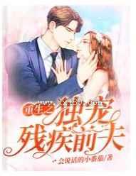 重生之独宠残疾前夫图片
