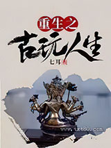 重生之古玩人生图片