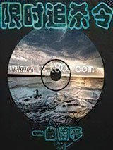 限时追杀令图片