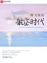 腾飞我的航空时代图片