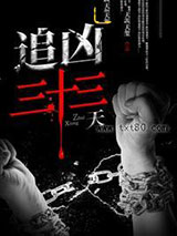 追凶三十三天图片