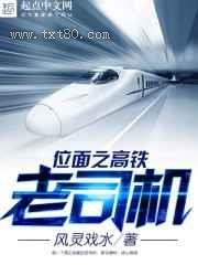 位面之高铁老司机图片