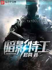 暗影特工图片