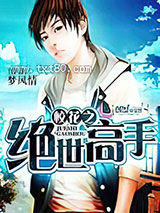 校花之绝世高手图片