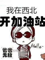 我在西北开加油站图片