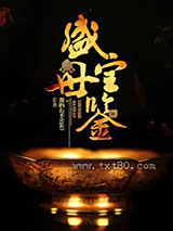 盛世宝鉴（摸宝天师）图片