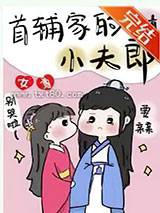首辅家的小夫郎[女尊]图片