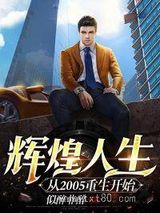 辉煌人生从2005重生开始图片