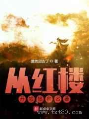 从红楼开始拯救名著图片