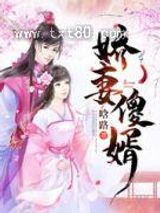 娇妻傻婿图片