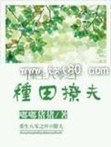 重生八零之种田撩夫图片