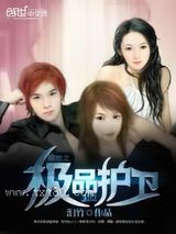 都市之极品护卫图片