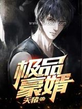 极品豪婿图片
