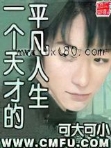 一个天才的平凡人生图片