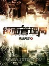 镜面管理局图片