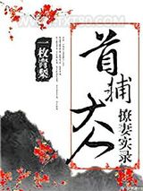 首辅大人撩妻实录图片