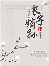 长子嫡孙（科举）图片